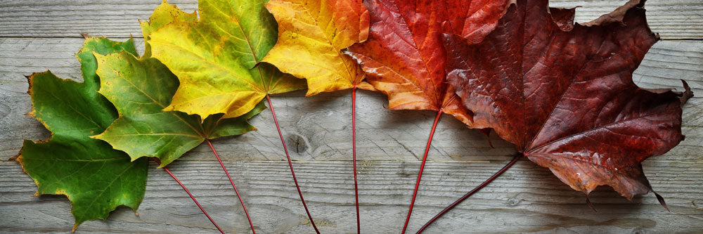 Mastering Multi-Seasonal Workwear: Transitioning from Summer to Winter