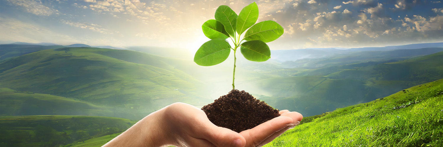 The Rise of Eco-Friendly Construction Pants in Sustainable Building Practices